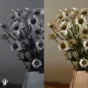 Lyubi